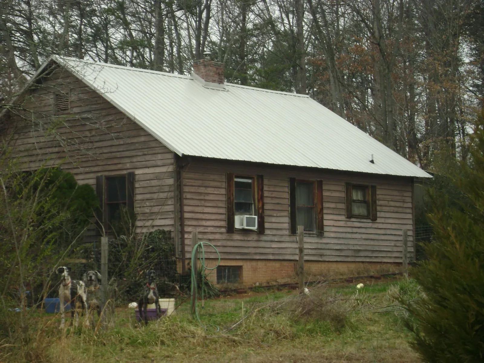 White metal roof on an old wood sided farmhouse in Lottsburg